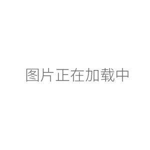 SW-CJ-2FD凈化工作臺雙人單面